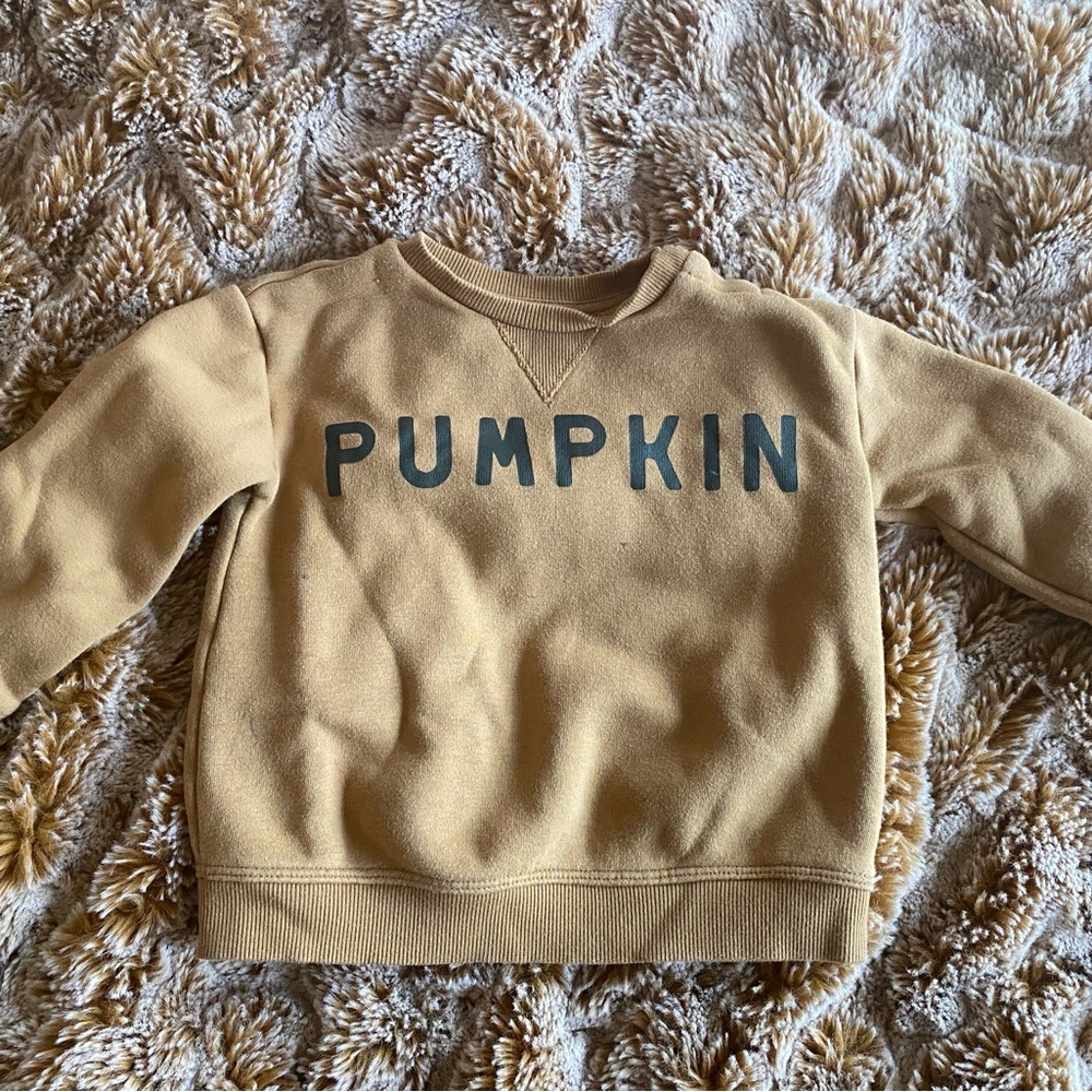 Lauren Conrad Little Co pumpkin sweatshirt in size 24 months